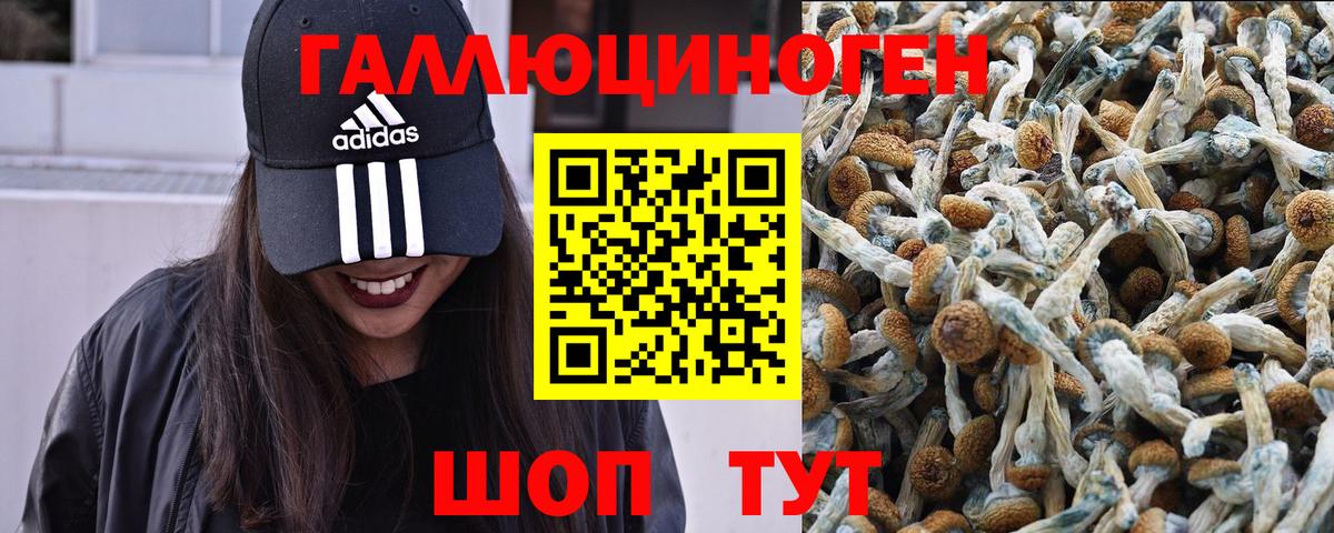 Галлюциногенные грибы Cubensis Жигулёвск