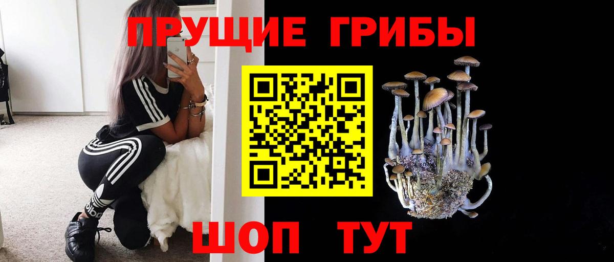 Жигулёвск  купить  цена  Вход с VPN  Галлюциногенные грибы прущие грибы  Галлюциногенные грибы GOLDEN TEACHER 